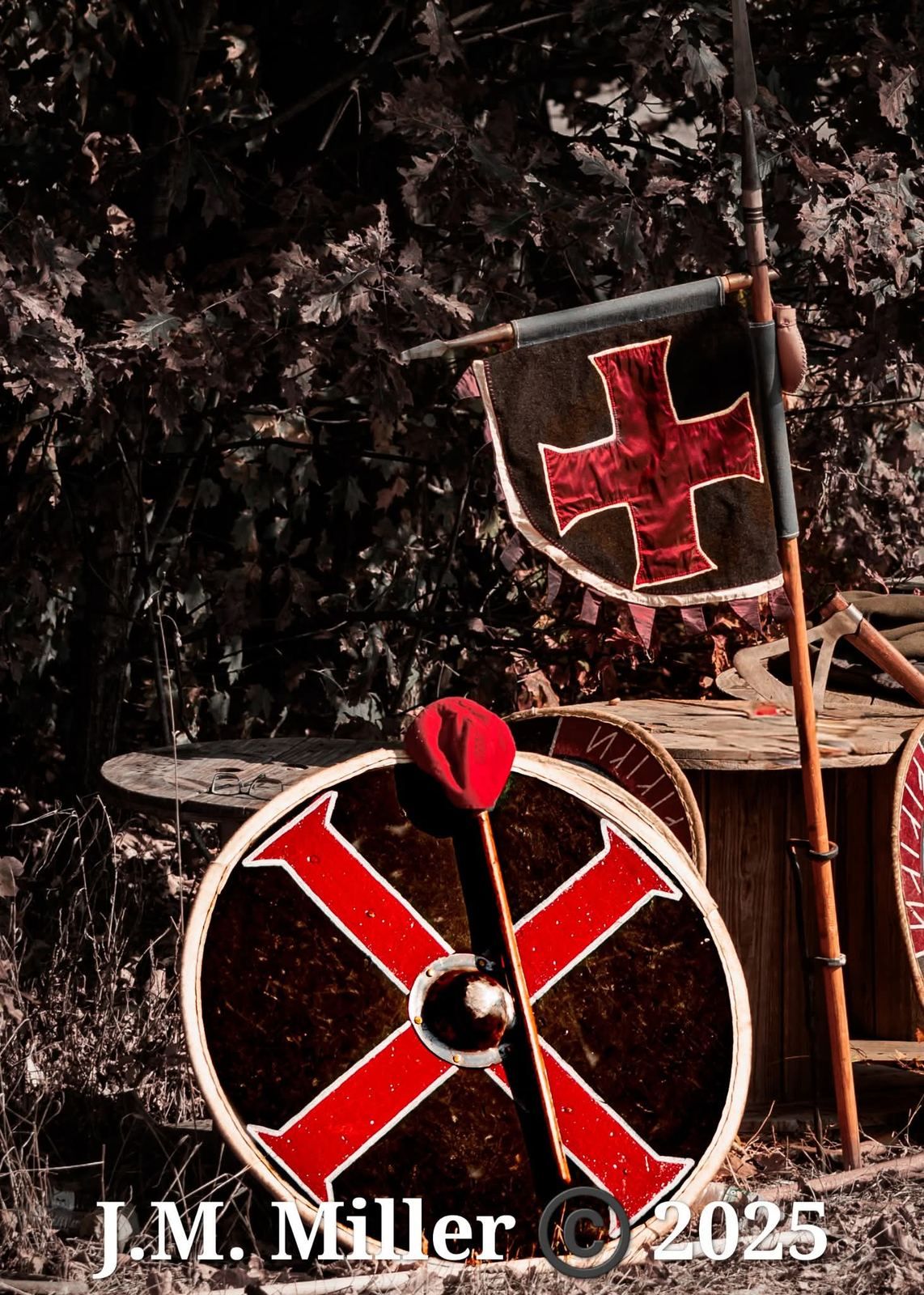 Jomsborg shield and banner
