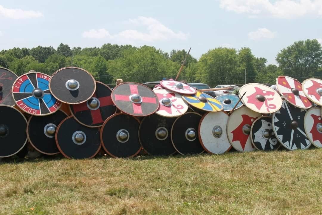 Row of Viking shields lined up in the grass
